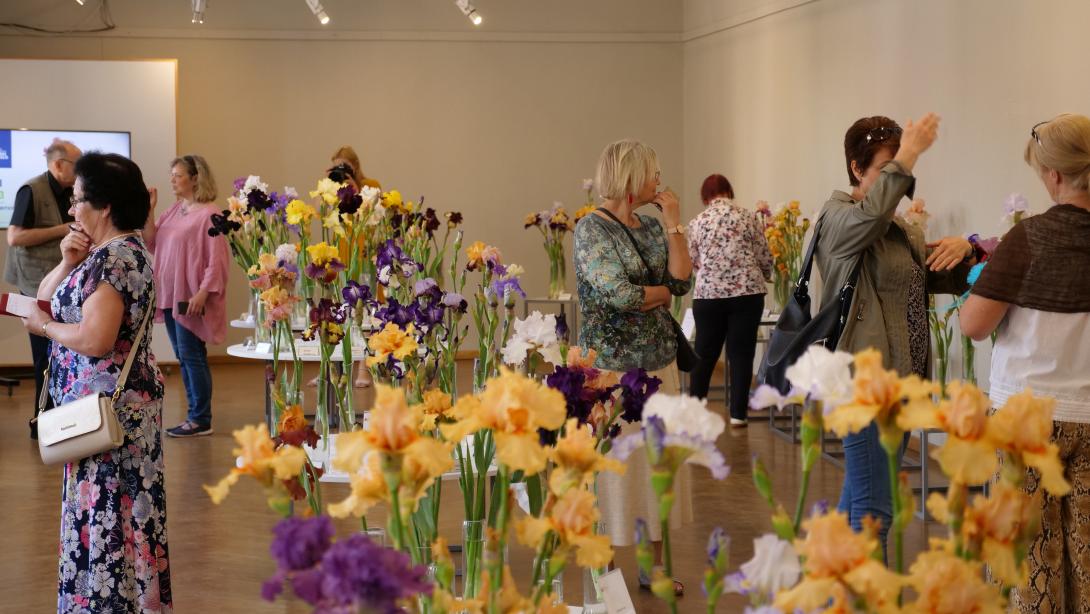 Exhibition "Irises 2023"