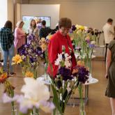 Exhibition "Irises 2023"