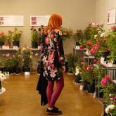 Exhibition "Roses 2023"