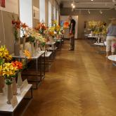 Exhibition "Lilies 2023"