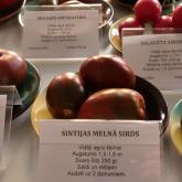 Exhibition "Tomatoes and herbs 2023"