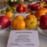 Exhibition "Tomatoes and herbs 2023"