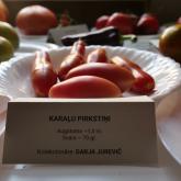 Exhibition "Tomatoes and herbs 2023"