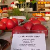 Exhibition "Tomatoes and herbs 2023"